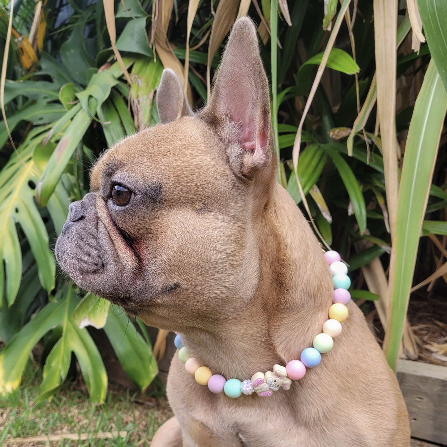 Hunny Bunny Necklace
